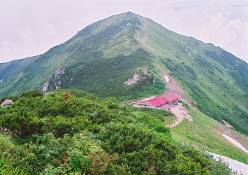 a0113718_18243326.jpg