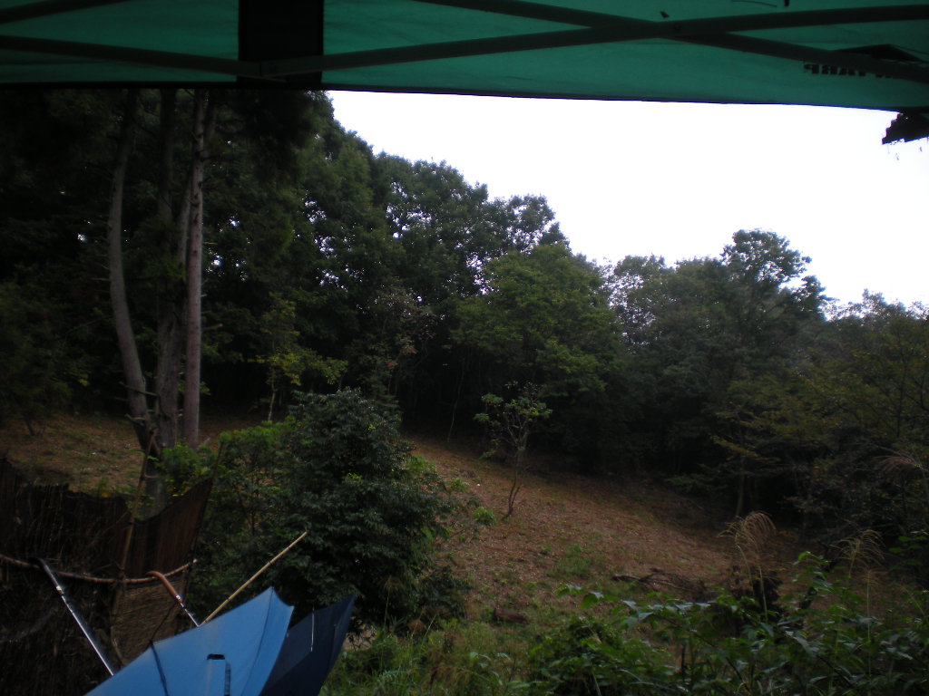 a0125419_0191365.jpg