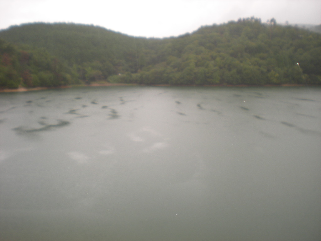 雨だな~_a0125419_038443.jpg