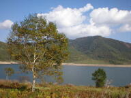 f0177521_1972912.jpg