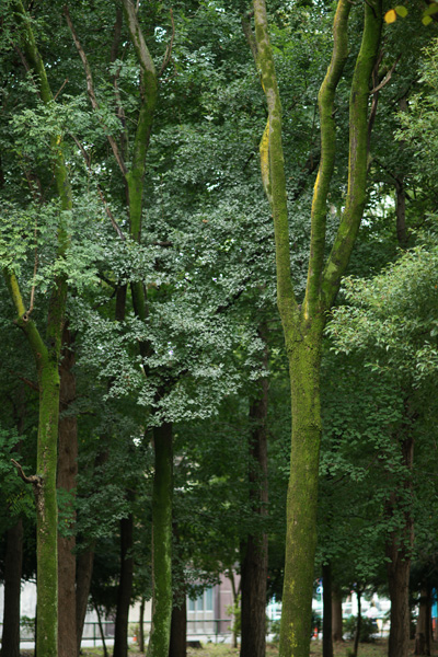 a0068424_2133094.jpg