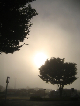 e0064227_23461435.jpg