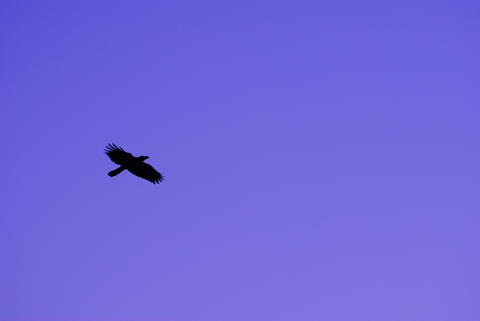 c0175532_8485699.jpg
