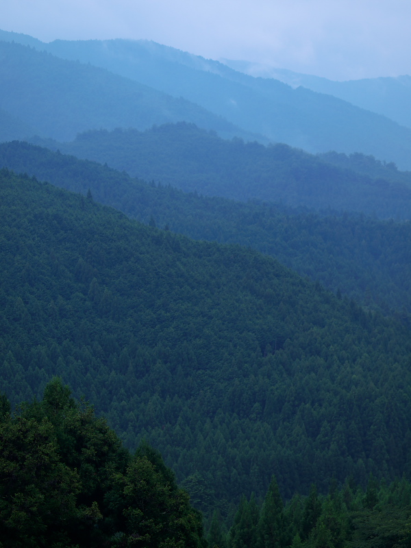 d0125535_19324521.jpg