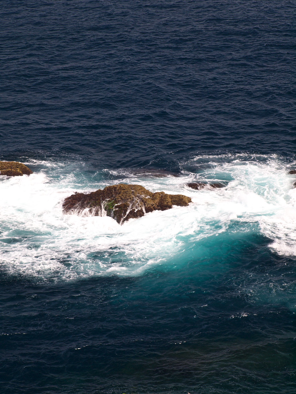 d0125535_20555598.jpg