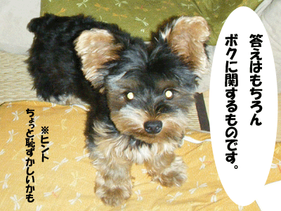 f0008935_541049.gif