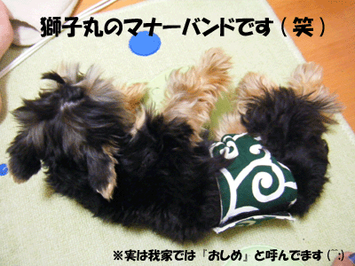 f0008935_56219.gif