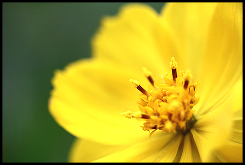 晴耕雨読 PENTAXに思うこと_c0176838_2303841.jpg