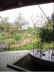 d0111039_13343831.jpg