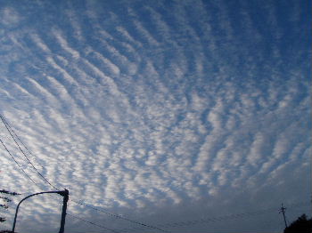 a0054240_21494266.jpg