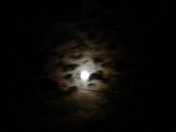 a0054240_21541289.jpg