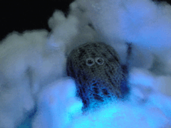 e0005548_224953.gif