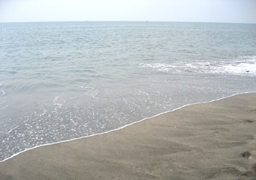 b0025850_07847.jpg