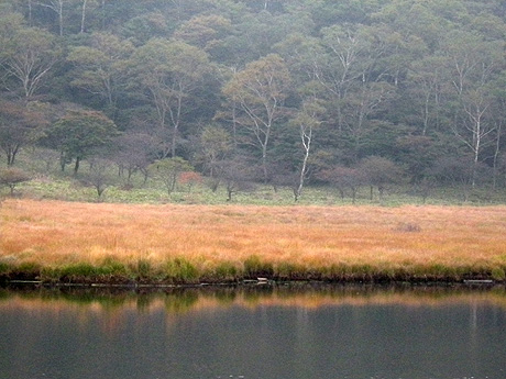 10月3日　覚満淵の草紅葉_a0001354_22372510.jpg