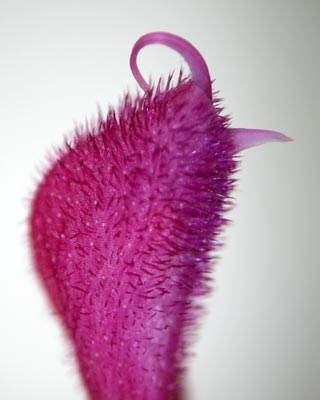 e0035757_2357138.jpg