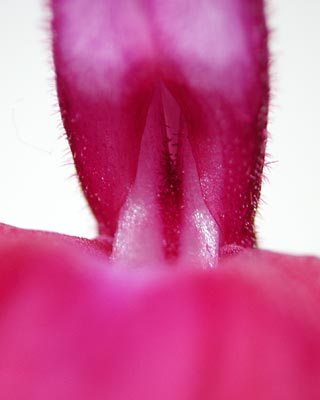 e0035757_23572228.jpg