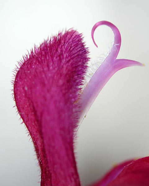 e0035757_23582861.jpg