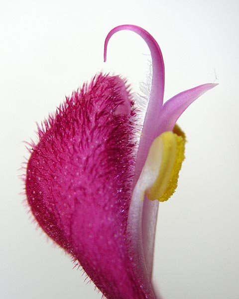 e0035757_23584495.jpg