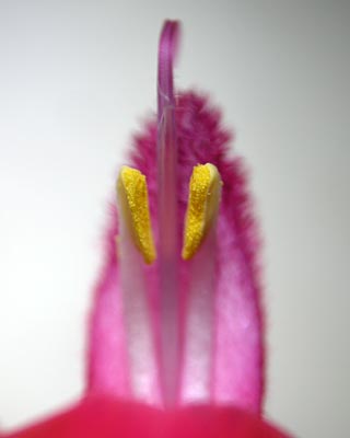 e0035757_23585897.jpg
