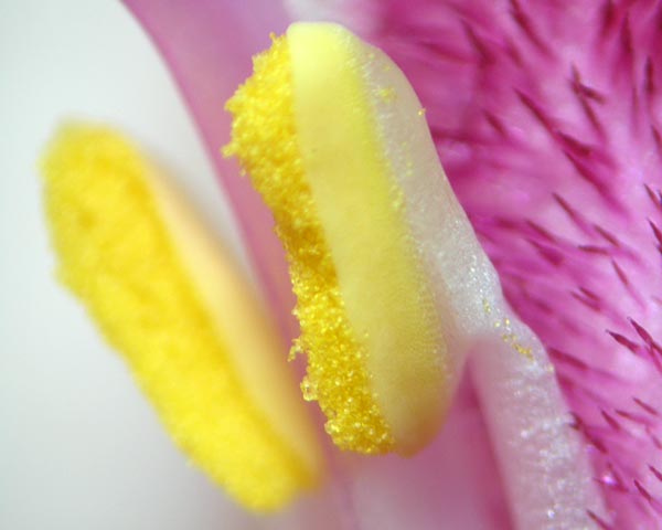 e0035757_2359492.jpg