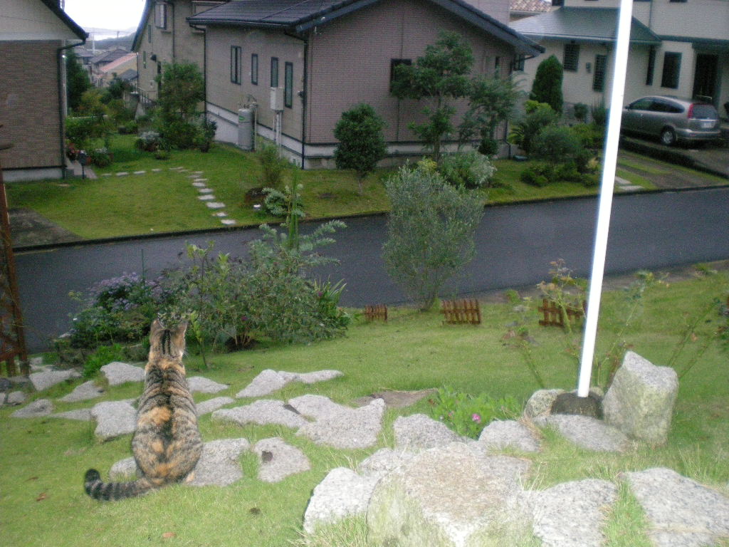 2009年10月3日(土)十五夜とこころちゃんのお手柄!_f0060461_1518938.jpg