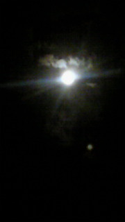 a0125667_20433435.jpg