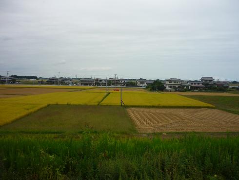 e0139167_07465.jpg