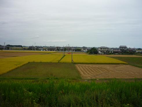 阿武隈川の土手の散歩～_e0139167_07465.jpg