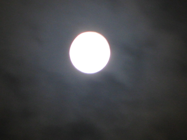 a0114469_2229127.jpg