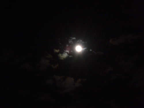 兄貴_a0077071_2025438.jpg