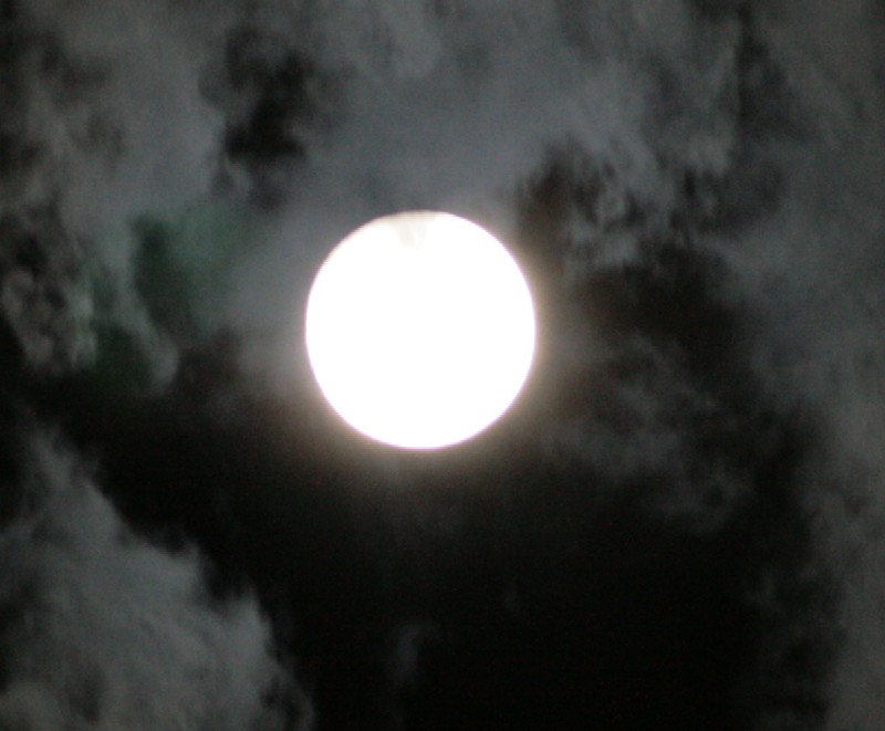 c0060076_22564222.jpg