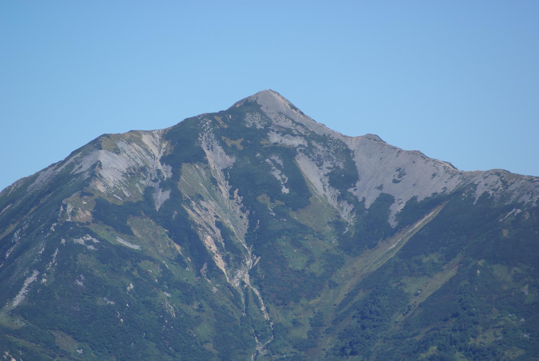 f0005785_01027.jpg