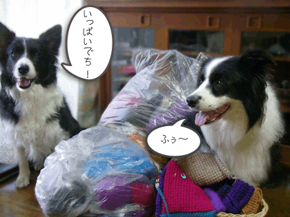 f0114893_10123866.gif