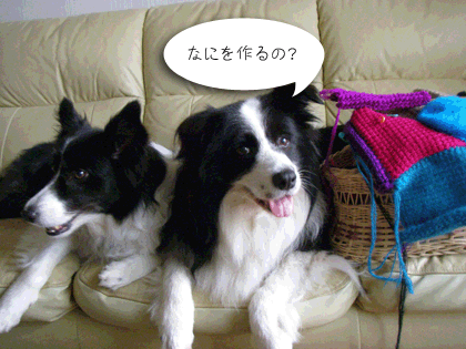 f0114893_10124935.gif