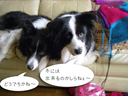 f0114893_10131331.gif