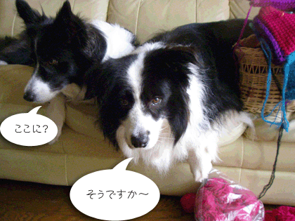f0114893_1013237.gif