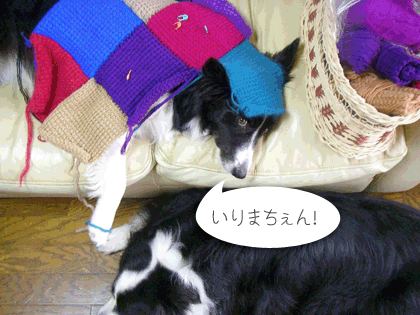 f0114893_10133830.gif