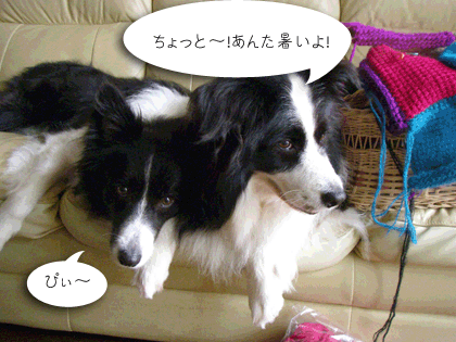 f0114893_10193516.gif
