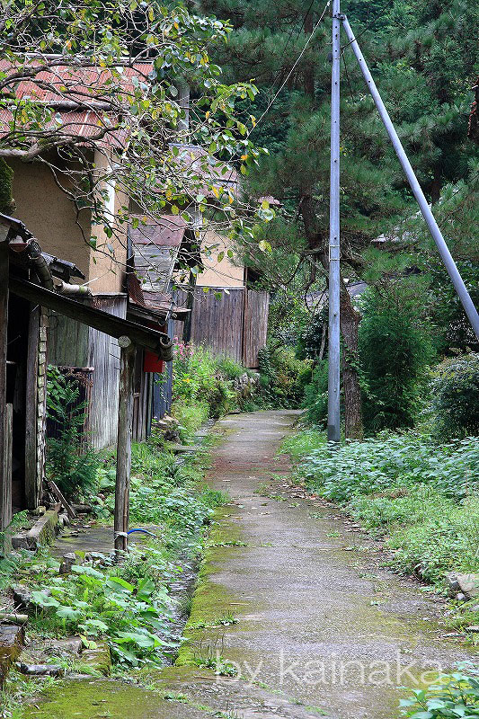 板井原集落　鳥取県智頭町　　その１_f0174293_991499.jpg