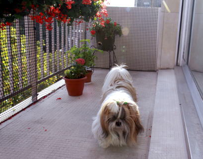 c0090198_346399.jpg