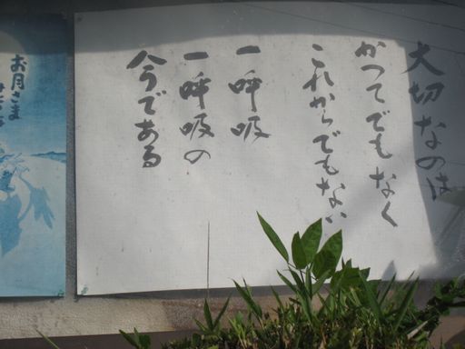 a0101802_042867.jpg