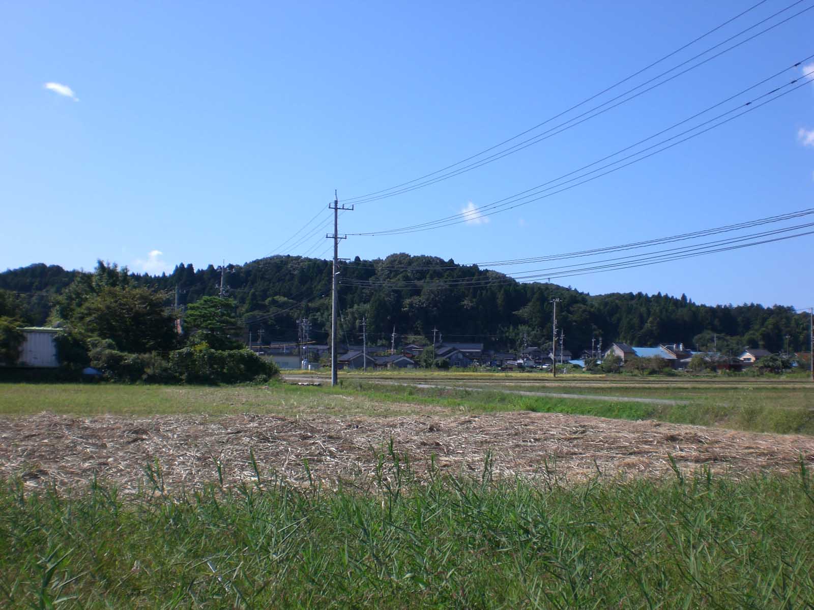 c0201302_2225366.jpg