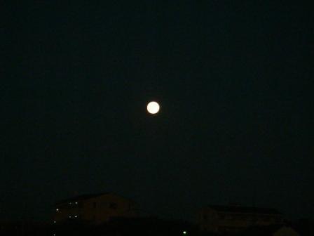 e0127602_2335108.jpg