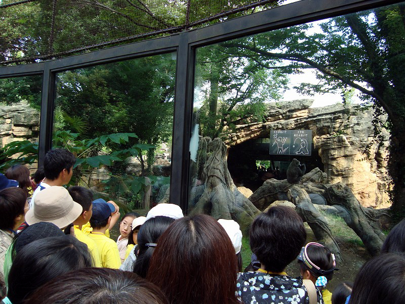 小学生のための世界自然遺産プロジェクト_d0073005_10325460.jpg