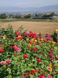 c0047814_11593375.jpg