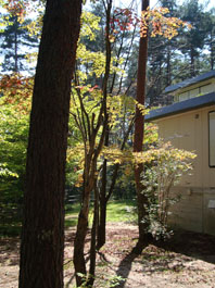 c0047814_1201019.jpg
