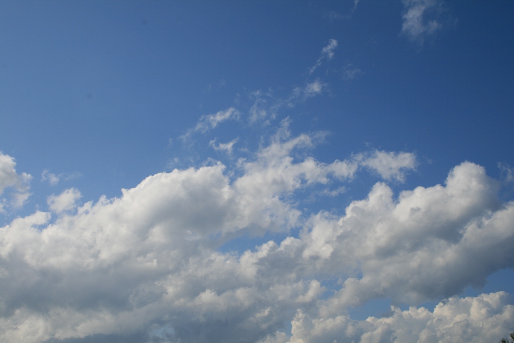 e0052716_7285391.jpg