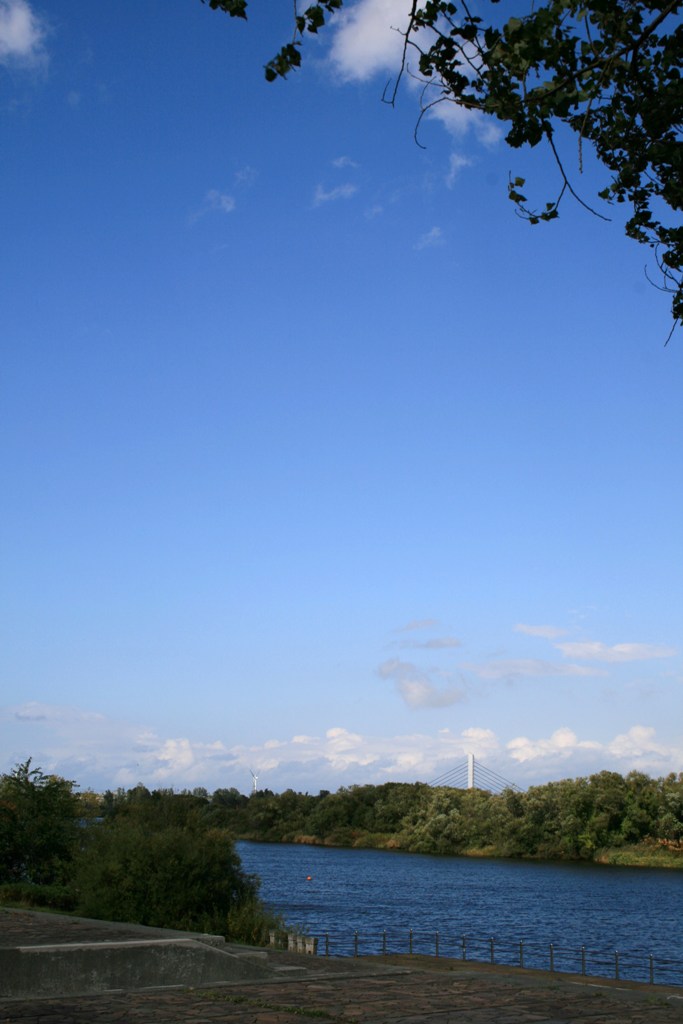e0052716_7295712.jpg