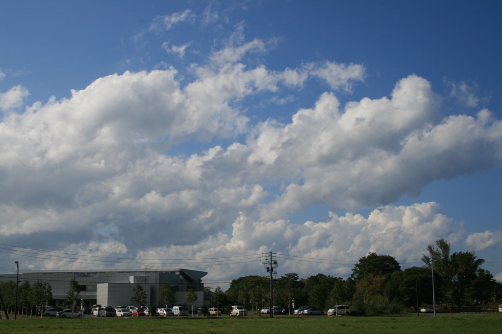 e0052716_7303720.jpg