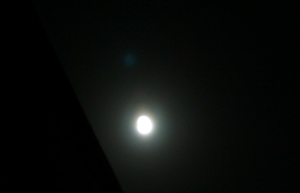 e0052716_73196.jpg